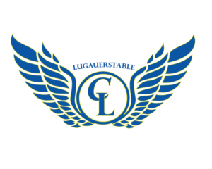 Logo Design by Pv_999 for this project | Design: #18644351