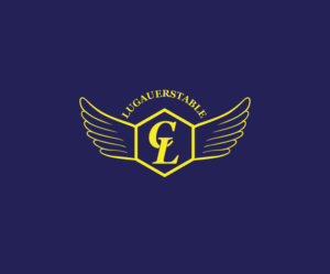 Logo Design by Isnah Logo for this project | Design: #18638852