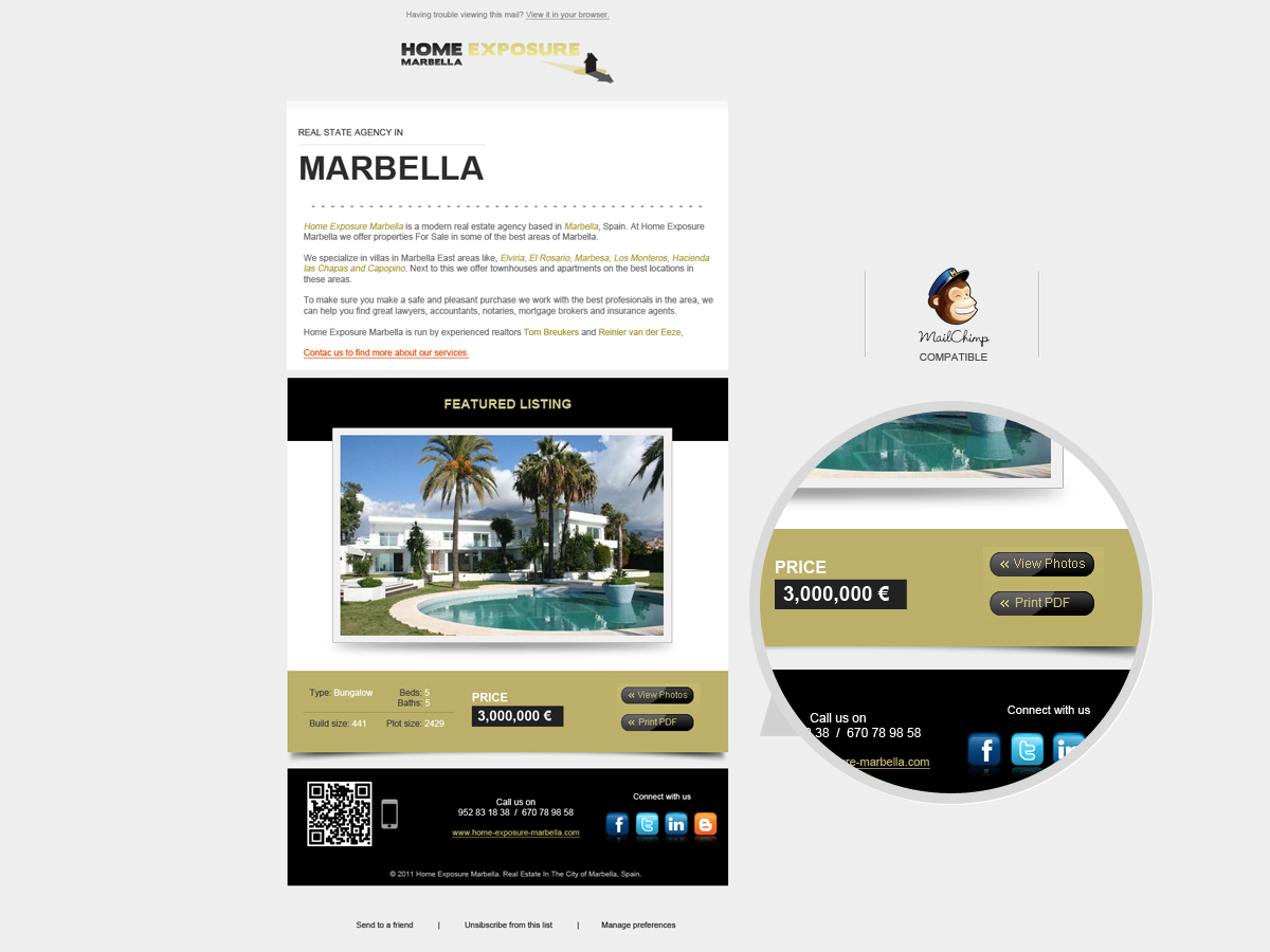 Newsletter Design by David Ramirez for Reinier van der Eeze | Design #674483