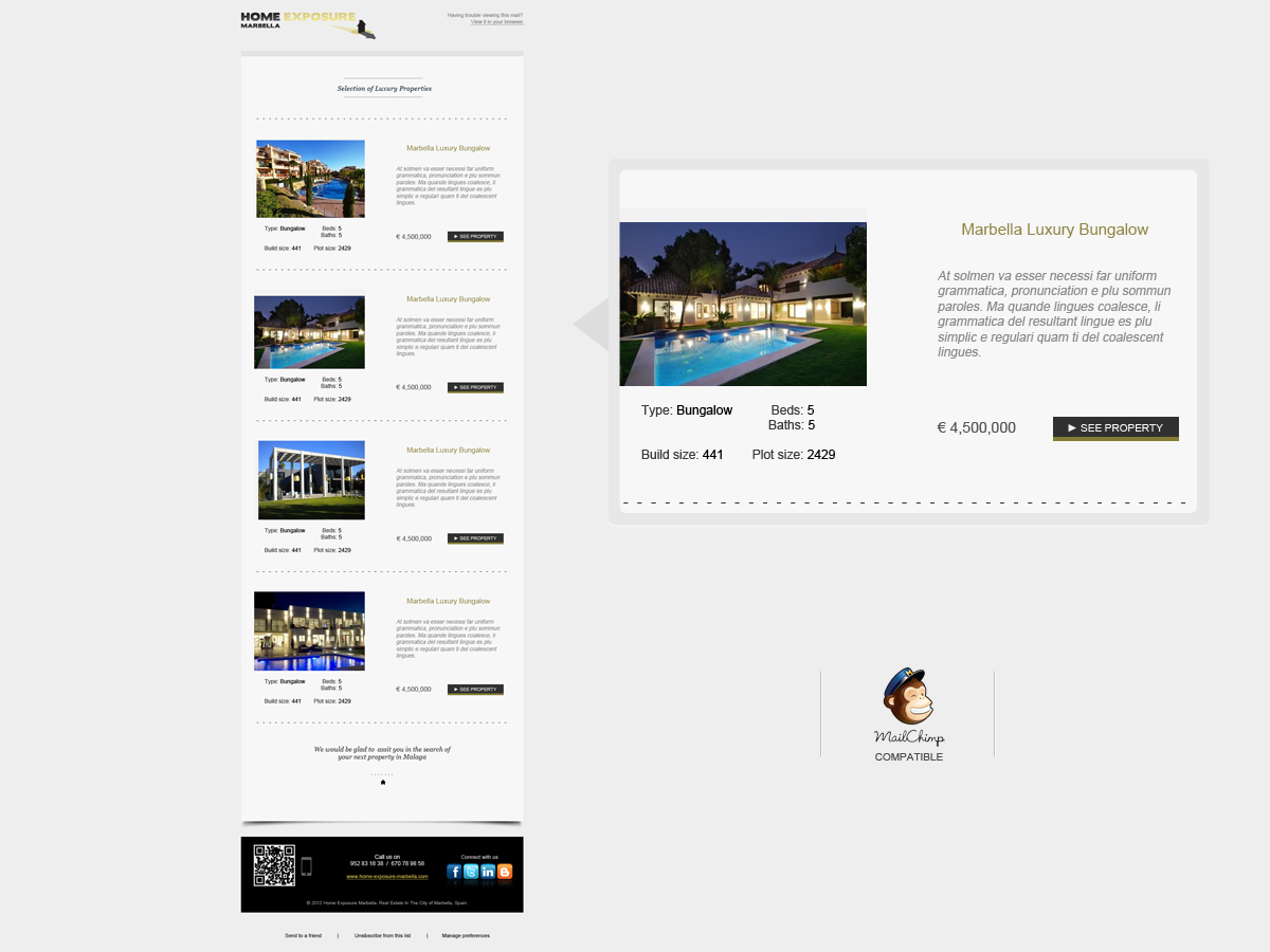 Design de Newsletter par David Ramirez pour Reinier van der Eeze | Design #687579