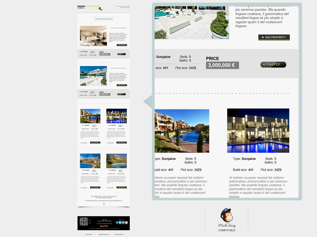 Newsletter Design by David Ramirez for Reinier van der Eeze | Design #696739