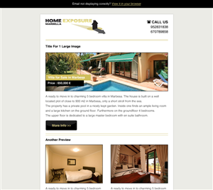 Newsletter Design by buditanrim for Reinier van der Eeze | Design #661215