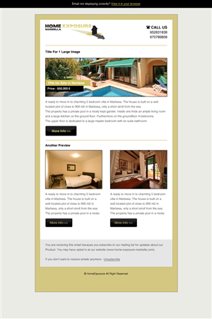 Newsletter Design by Budi Tanrim for Reinier van der Eeze | Design: #661768