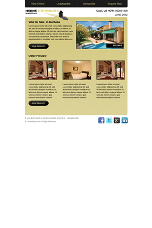 Newsletter Design by Budi Tanrim for Reinier van der Eeze | Design: #662096