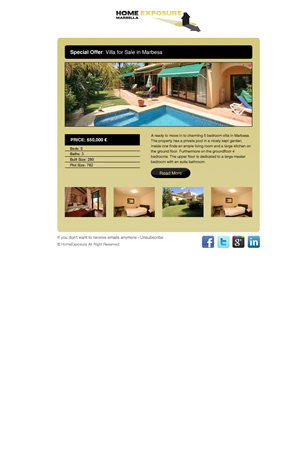 Newsletter Design by Budi Tanrim for Reinier van der Eeze | Design: #663707