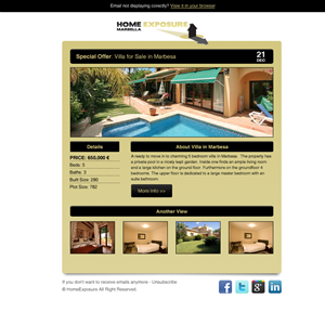 Newsletter Design by Budi Tanrim for Reinier van der Eeze | Design: #673168