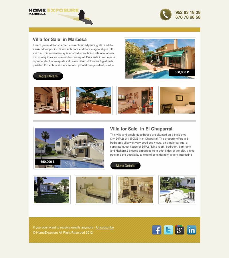 Newsletter Design by Budi Tanrim for Reinier van der Eeze | Design #675276