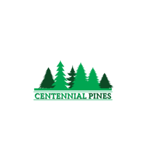 Logo Design by Saumin Bhavsar for this project | Design #18651751
