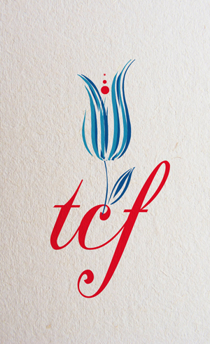 Logo Design by ksenia design