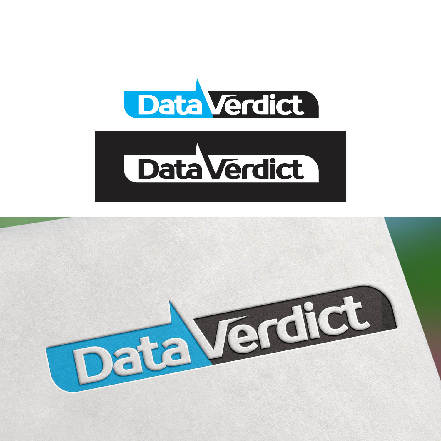Logo Design by Finley Johnson for Data Verdict | Design #18668238