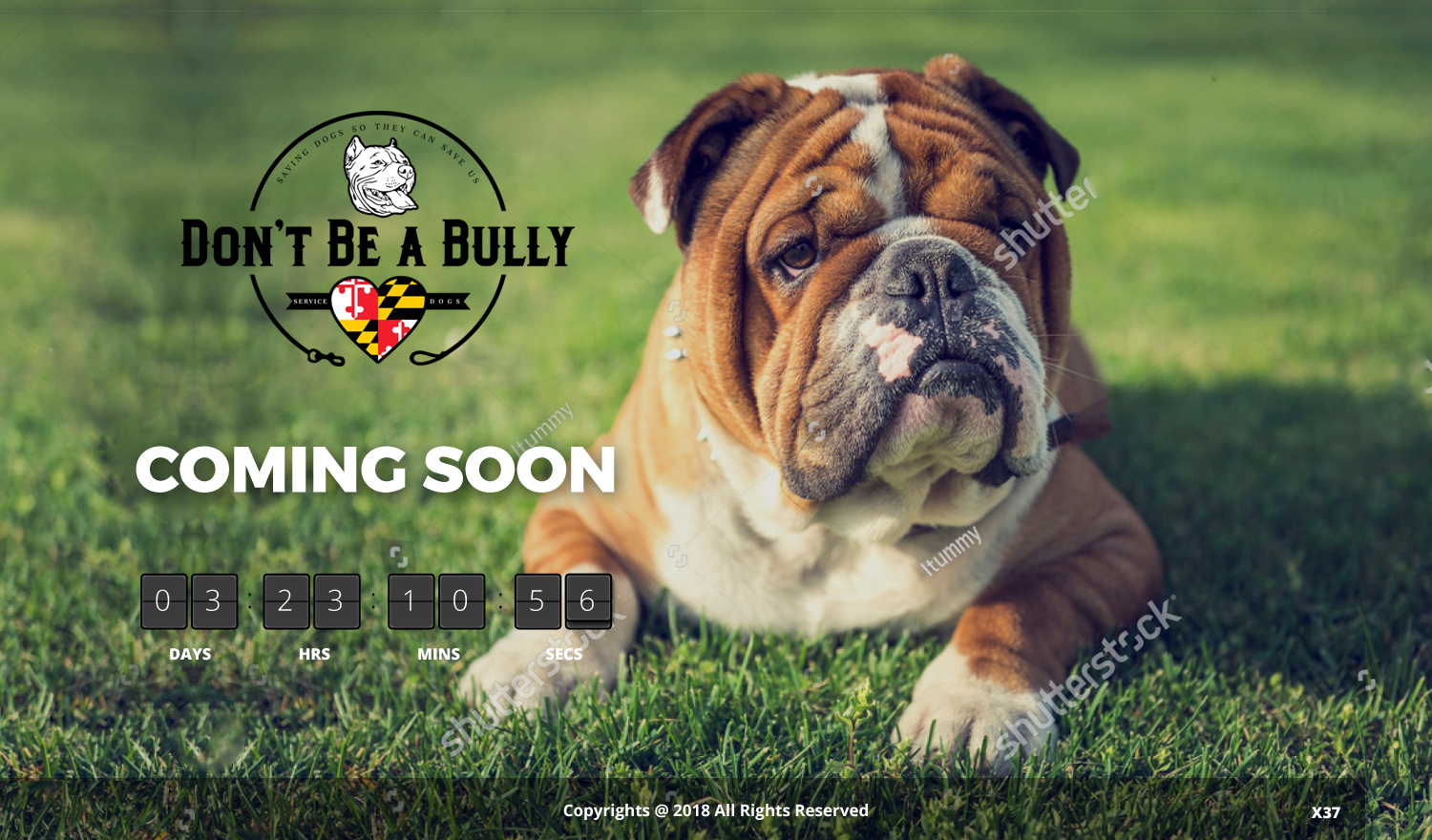 Diseño Web por pb para Don't Be A Bully | Diseño #18746044