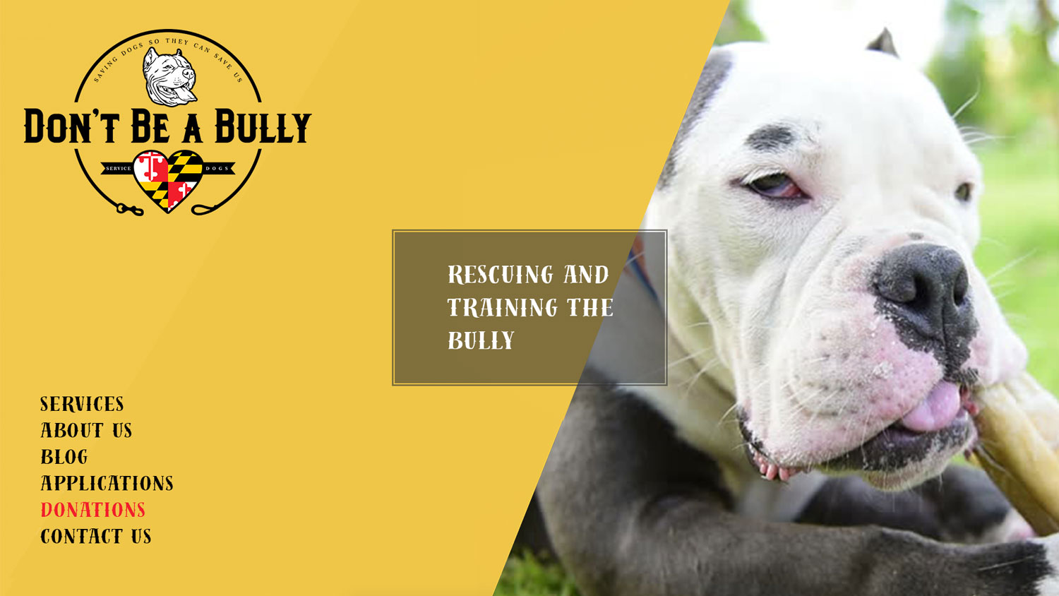 Web Design by NessDesign for Don't Be A Bully | Design #18661583