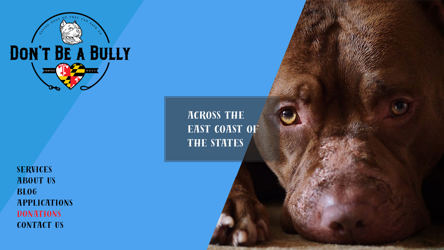 Web Design by NessDesign for Don't Be A Bully | Design #18661584