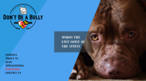 Diseño Web por NessDesign para Don't Be A Bully | Diseño: #18661584