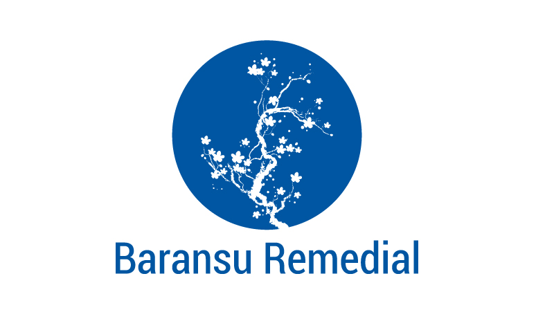 Design de Logo par ilovedesign1 pour Baransu Remedial | Design #18661634