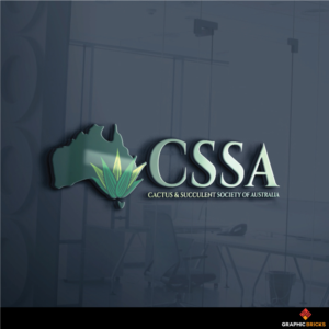 CSSA | Logo Design by Graphic Bricks