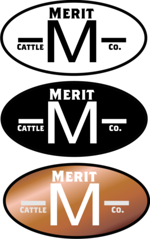 Logo Design by ChrisMoon
