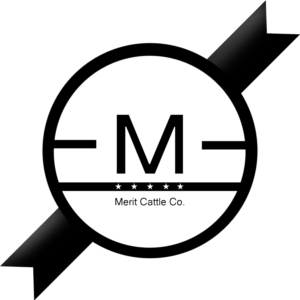 Logo Design by artincjk