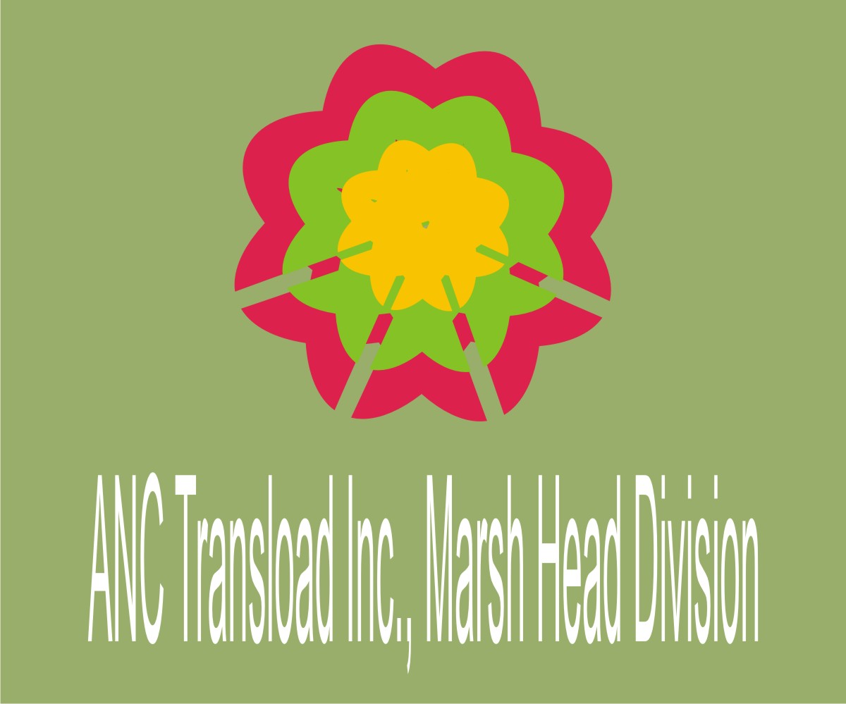 Logo-Design von Uyin für Zaisel Enterprises Ltd. | Design #2885706