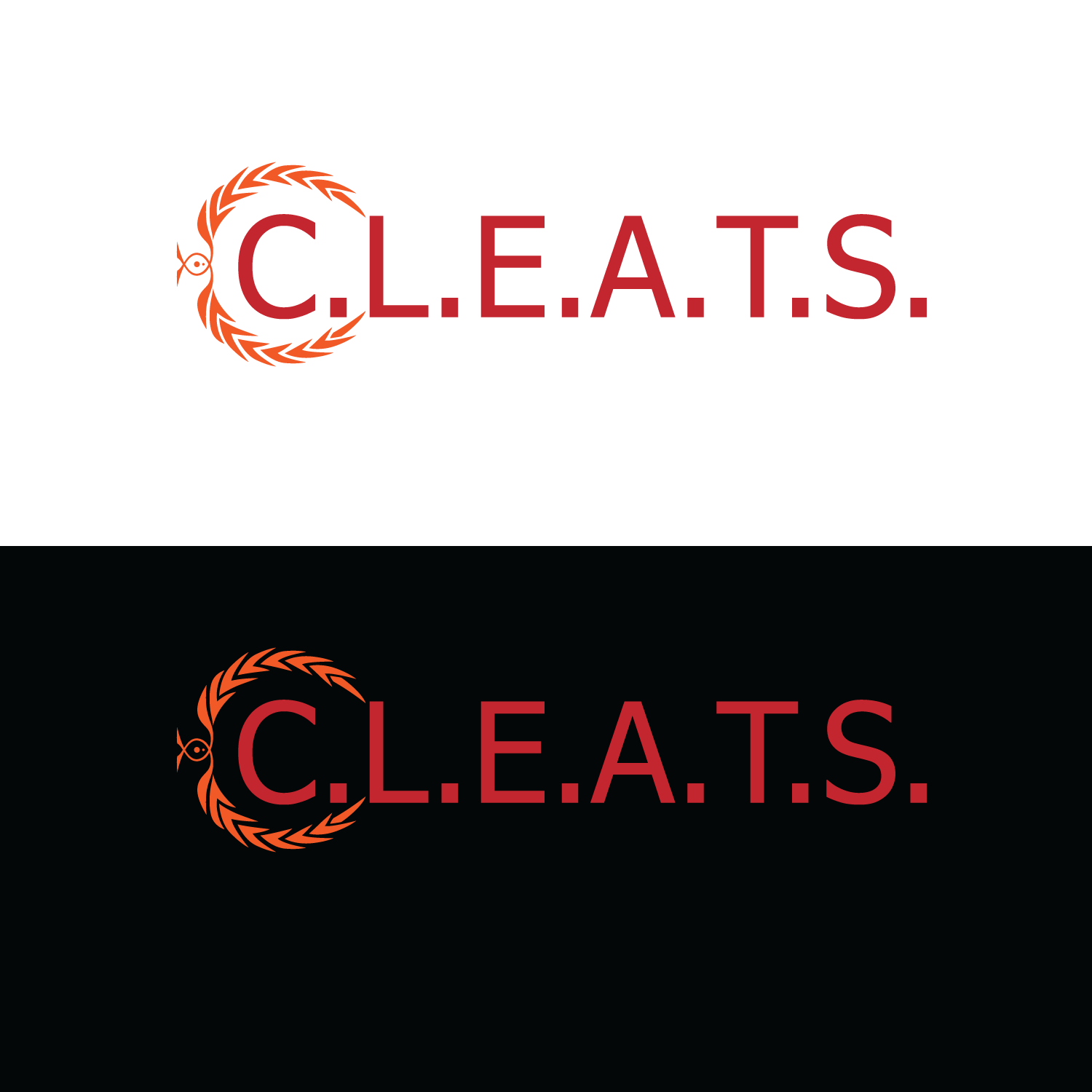 Diseño de Logo por enaamsoft para este proyecto | Diseño #18784765