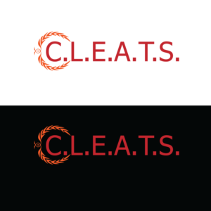 Diseño de Logo por enaamsoft para este proyecto | Diseño #18784765
