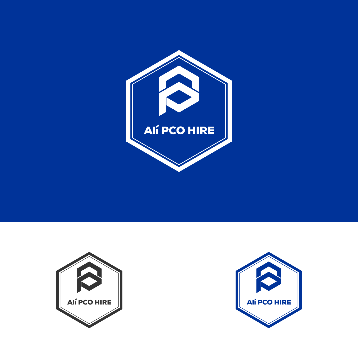 Logo-Design von swimart.design 2 für ALI PCO HIRE LTD | Design #18684622