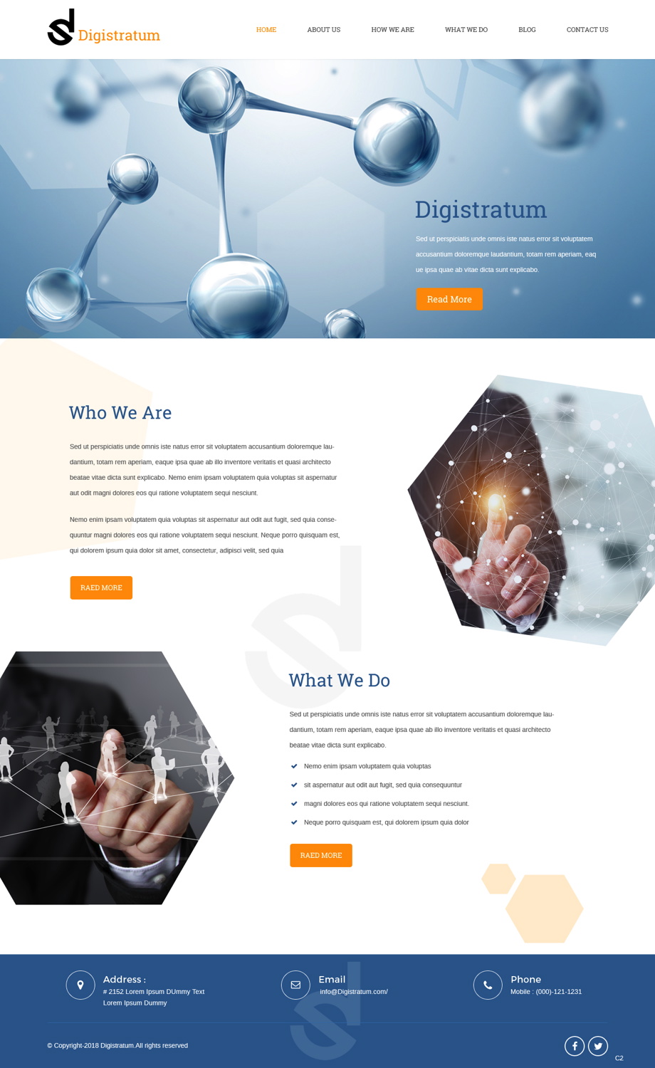 Web Design by pb for DigiStratum LLC | Design #18695165