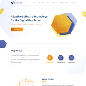 Web Design by alejandromay for DigiStratum LLC | Design #18723723
