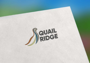 Logo-Design von baki99 für dieses Projekt | Design: #18713549
