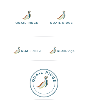 Logo Design by Muhammad Imran 3 for this project | Design: #18683013