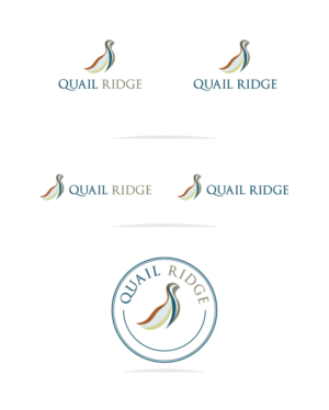 Logo Design by Muhammad Imran 3 for this project | Design: #18683014