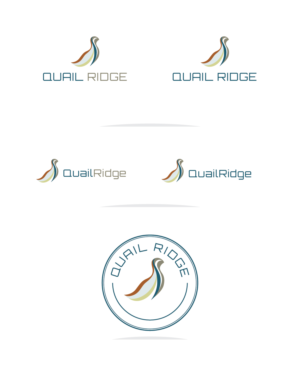 Logo Design by Muhammad Imran 3 for this project | Design: #18683015