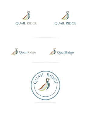 Logo Design by Muhammad Imran 3 for this project | Design: #18683016