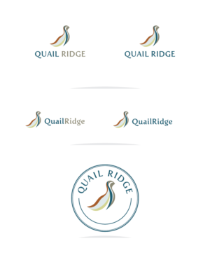 Logo Design by Muhammad Imran 3 for this project | Design: #18683018