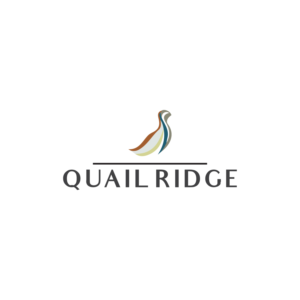 Logo Design by DANPAINEDESIGN