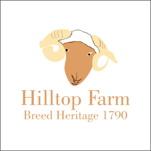 Logo Design by iber