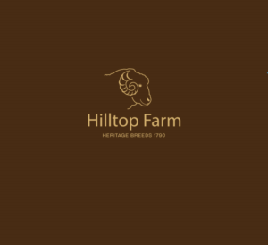 Logo Design by instudio for this project | Design: #18708855