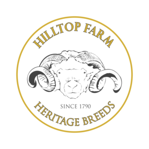 Logo Design by CarlosQ for this project | Design: #18779673