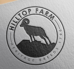 Logo Design by Sarastudioo for this project | Design: #18771032