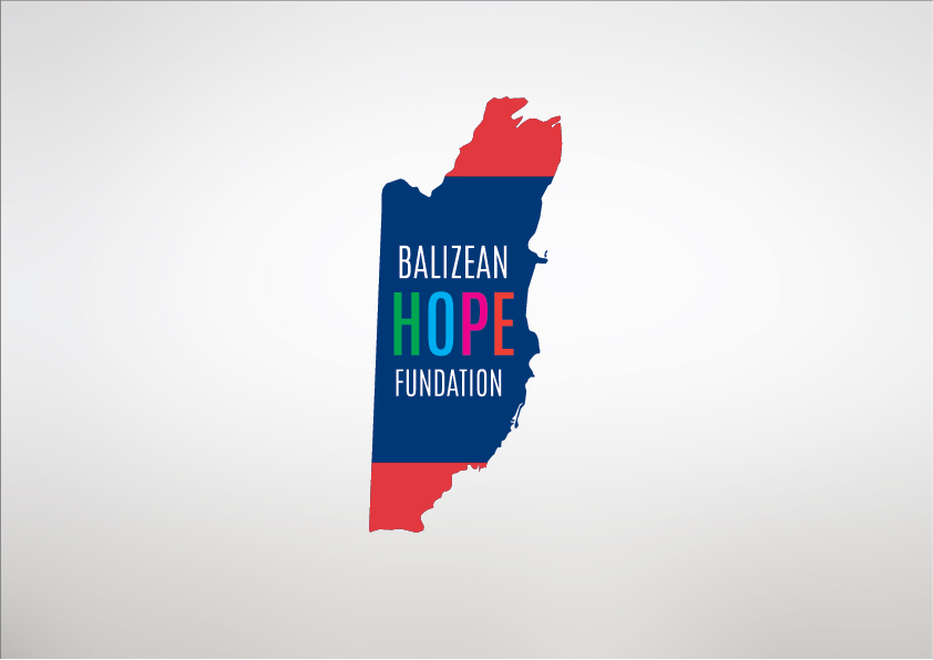 Logo Design by Agora for Substantia Solutions, LLC | Design #18694454