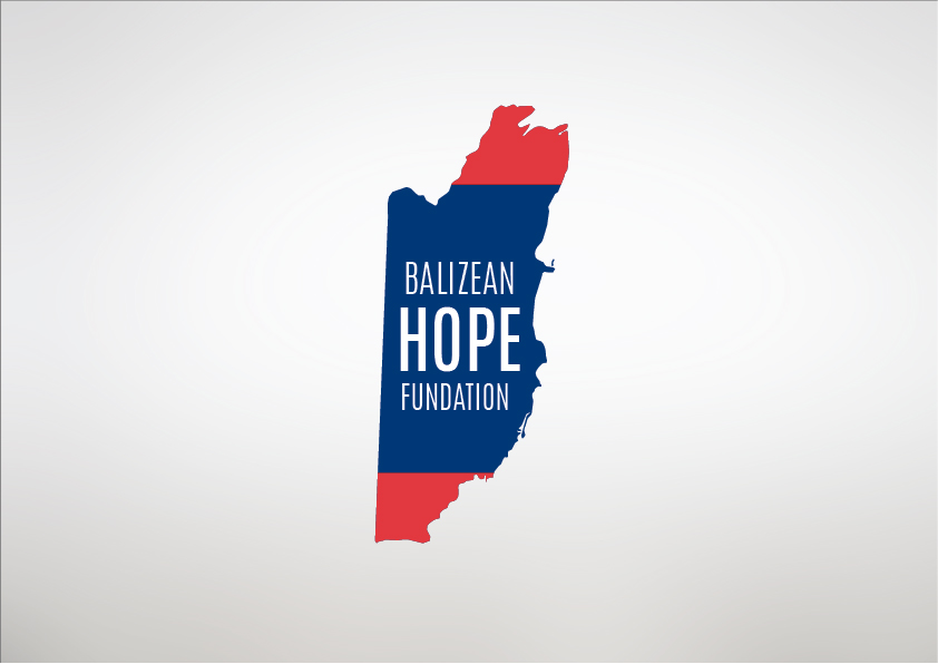 Logo Design by Agora for Substantia Solutions, LLC | Design #18694455