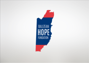 Logo Design by Agora for Substantia Solutions, LLC | Design: #18694455