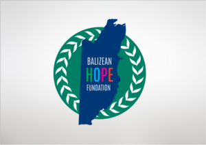Logo Design by Agora for Substantia Solutions, LLC | Design: #18694456