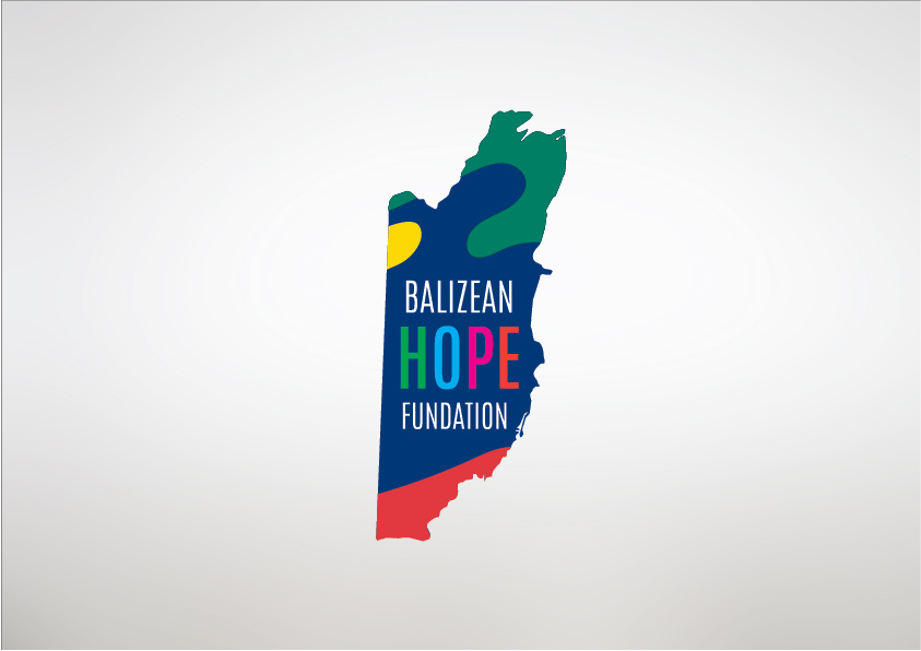 Logo Design by Agora for Substantia Solutions, LLC | Design #18694458