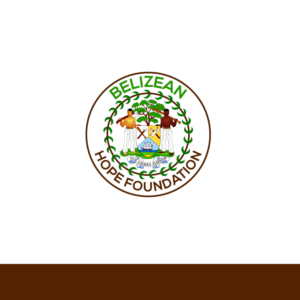 Diseño de Logo por Tonmoyy para Substantia Solutions, LLC | Diseño: #18698797