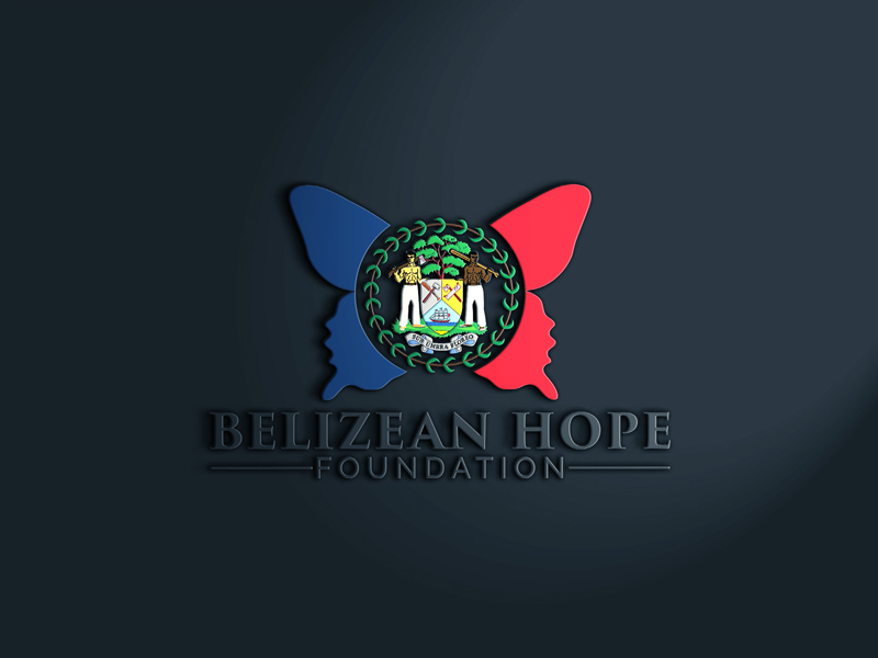 Logo Design by Tasnova 2 for Substantia Solutions, LLC | Design #18781589