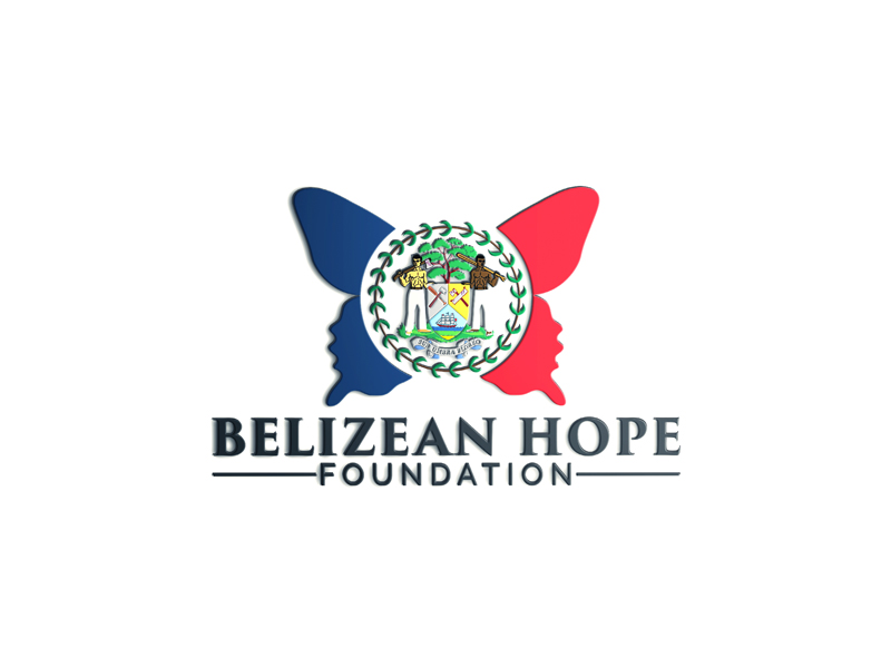 Logo Design by Tasnova 2 for Substantia Solutions, LLC | Design #18781590