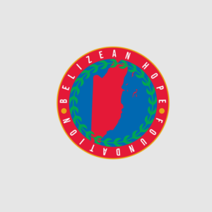 Logo Design by DiasVearel for Substantia Solutions, LLC | Design #18693139