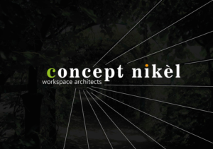 Logo Design by Pedro Teixeira for Concept nikel bvba | Design: #18781905