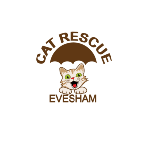 Logo Design by Archaeologo for Weddings and Events LTD | Design: #18723564